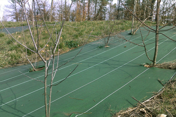 Kit Toile De Paillage 130g/m² Verte + Agrafes - 1,25m X 5m - Pour Désherbage Naturel, Jardin, Massifs - 3