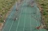 Toile de paillage 130g/m² - Vert - largeur 0,50 m