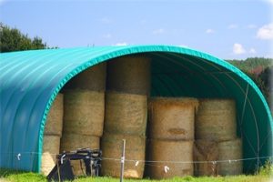 tunnel agricole