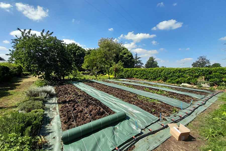 Mise en place des lés avec utilisation des agrafes de fixation.