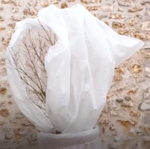 ouvrir voile hivernage