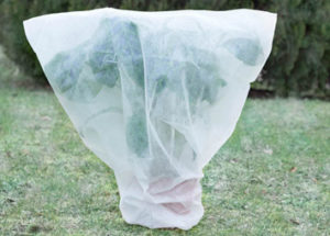 voile hivernage attache