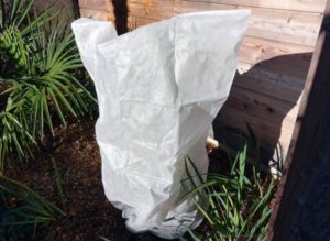 Voile d'hivernage sous le format d'une capuche recouvrant un arbuste.