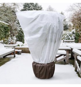 Voile d'hivernage qui recouvre une plante en pot lors de l'hiver.