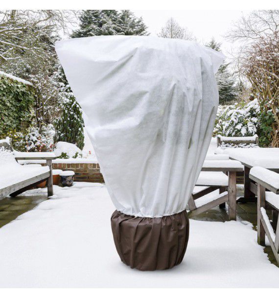 hivernage plante