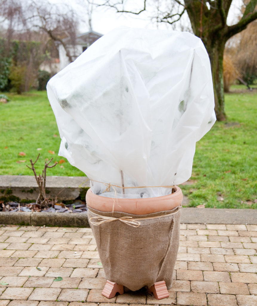 température voile hivernage