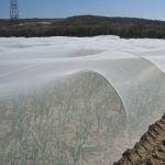 Filet de protection tendu au-dessus de cultures maraîchères, conçu pour protéger les plantations contre les insectes et les intempéries.