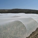 Filets anti-insectes mis en place sur des arceaux pour protéger les plantations.