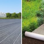 Comparatif entre toile de paillage et feutre géotextile