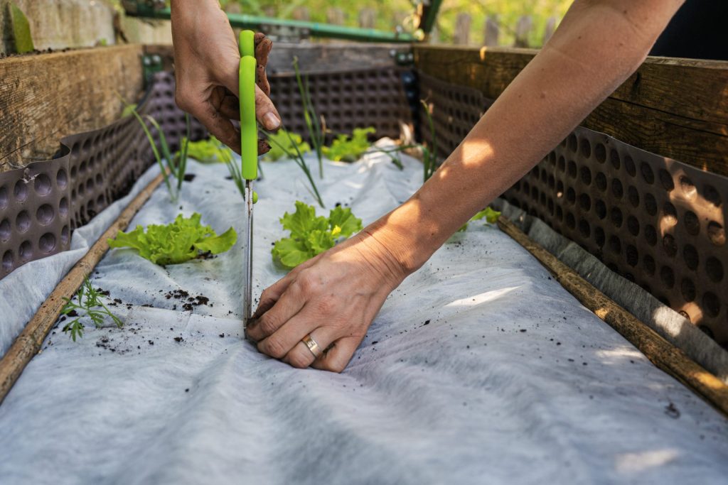 Mise en place d'un géotextile pour protéger les plantations