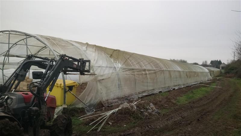 Bâche de serre sale sur une serre tunnel.