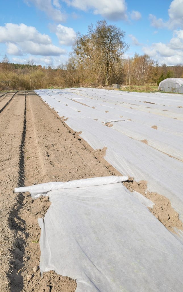 Voile de protection pour protéger les rangées de semis fraichement plantés.