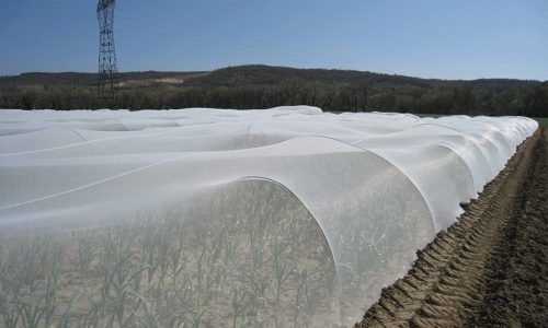 Filets anti-insectes mis en place sur des arceaux pour protéger les plantations.